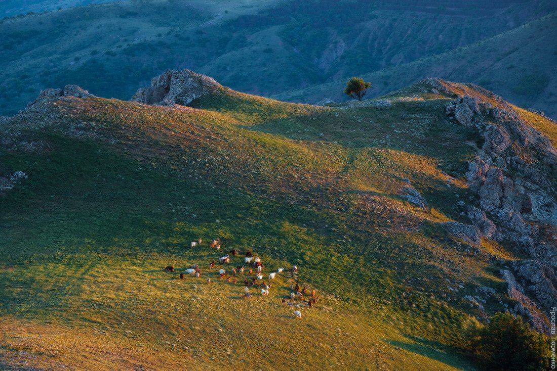 , Ярослав Тюрменко (Jaremi)