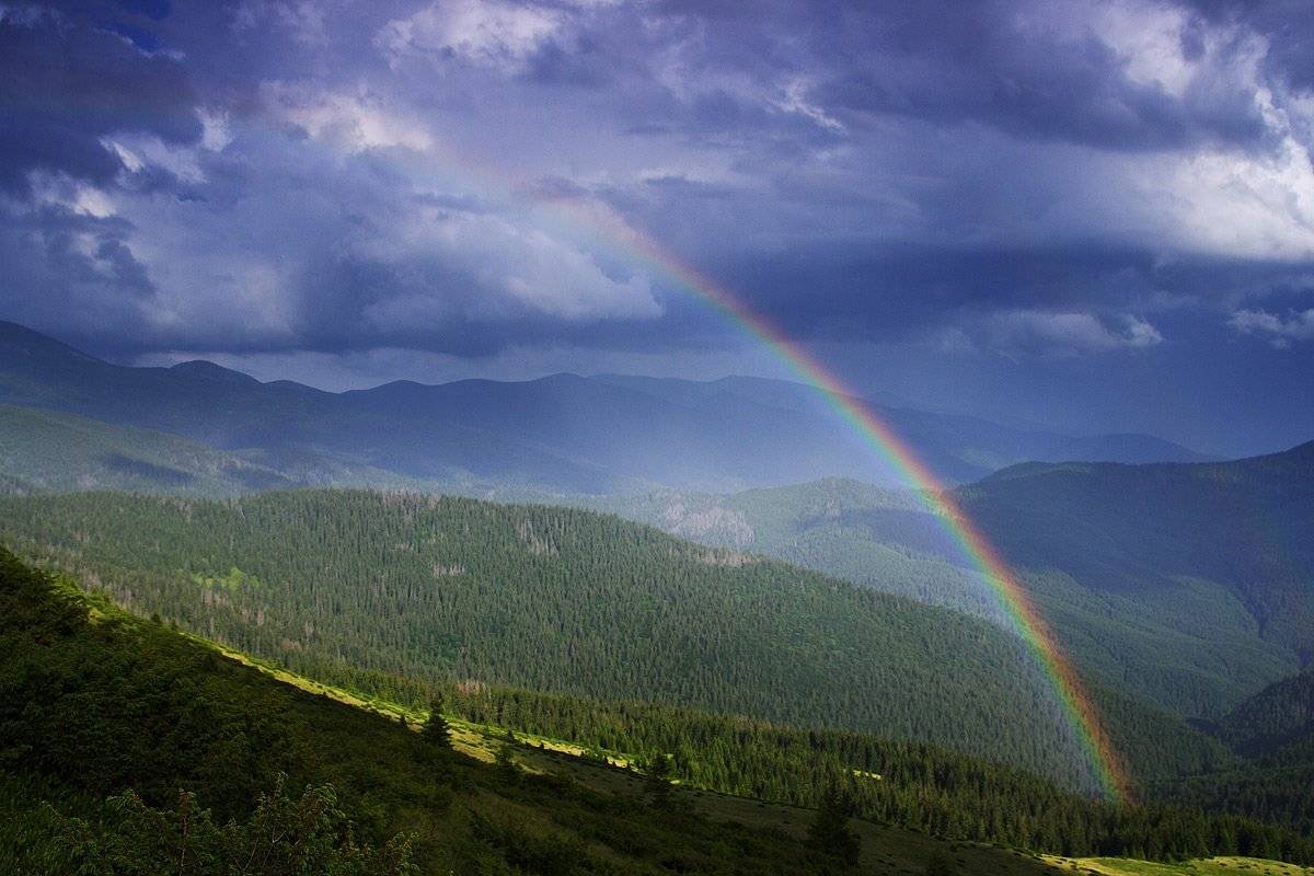 , Виталий Ра