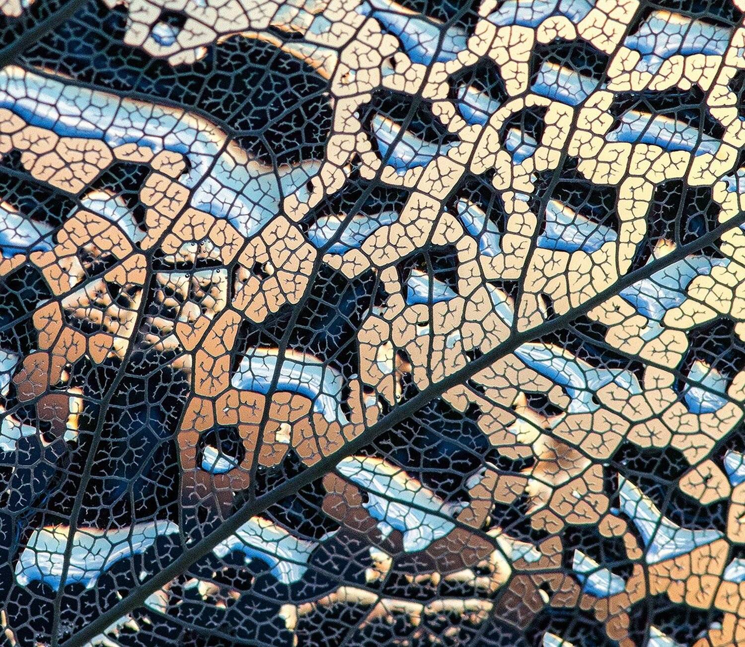 , Таня  Маркова