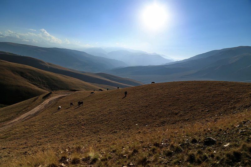 , , алатау, заилийское, казахстан  фото превью