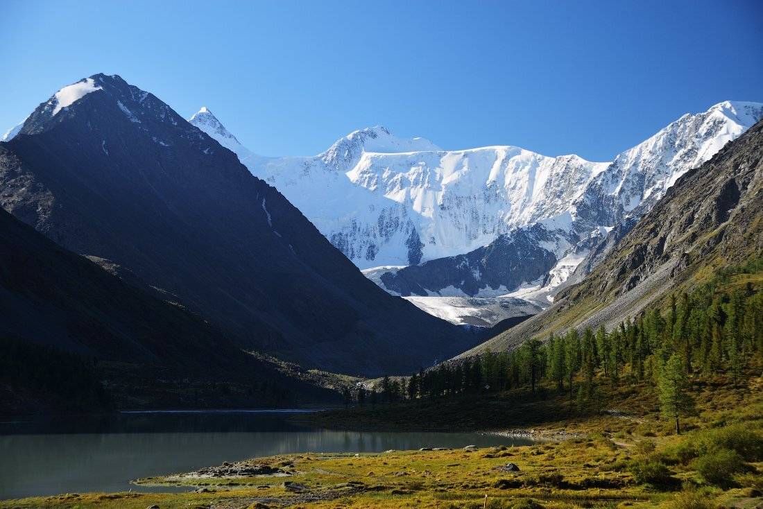 , Михаил Зверев