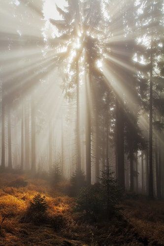 Light Explosion