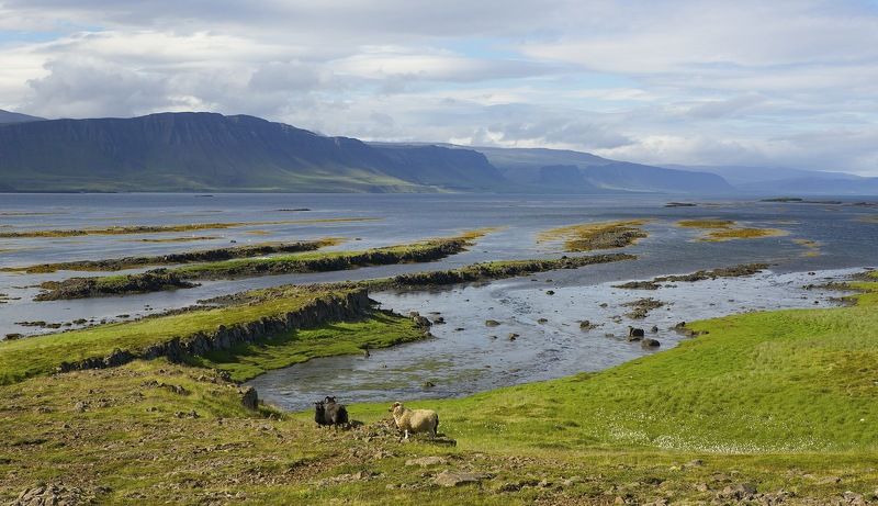 ... фото превью