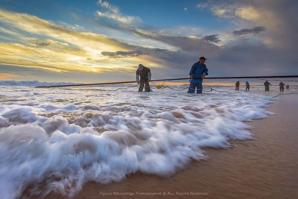 , Paulo Mendon&ccedil;a