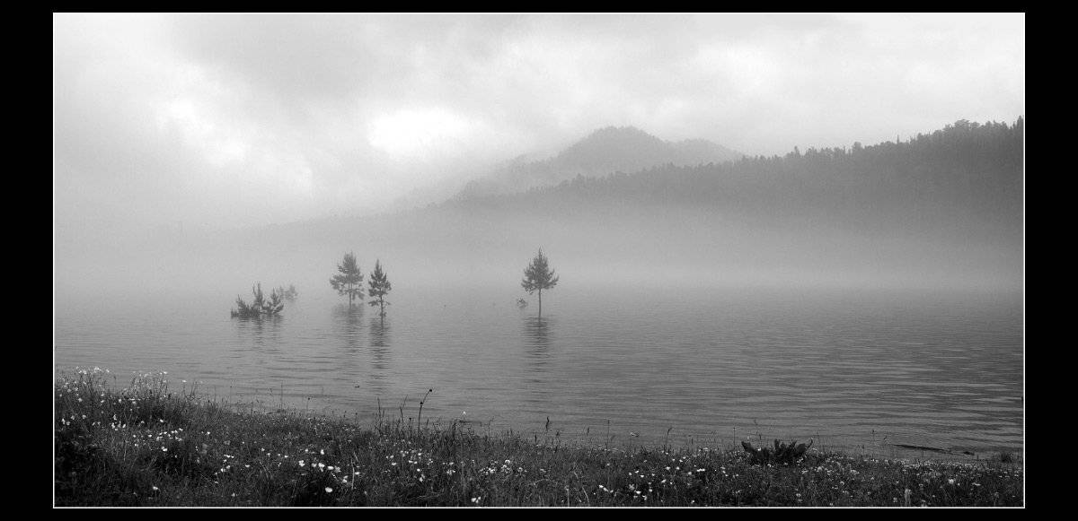 , Любовь Фурс