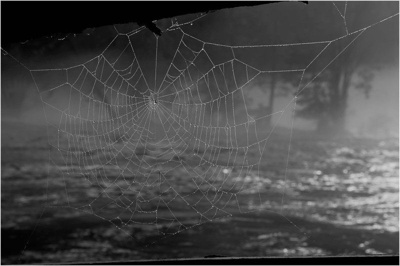 Наводнение фото превью