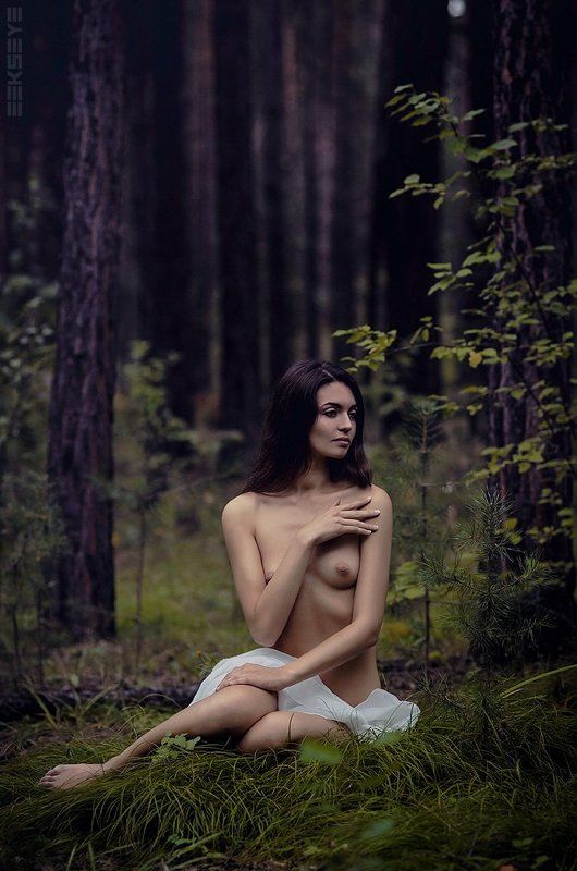 ... фото превью