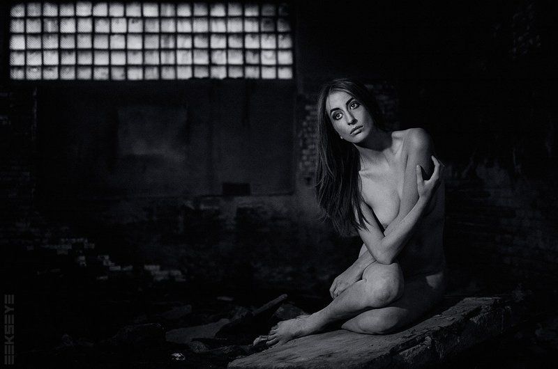 Moonskin фото превью