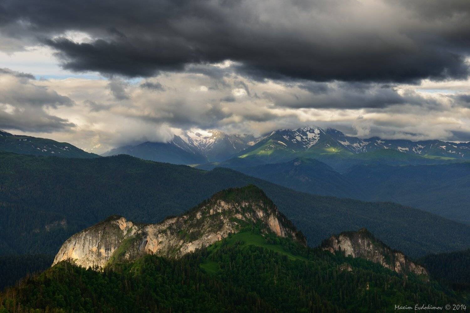 , Максим Евдокимов