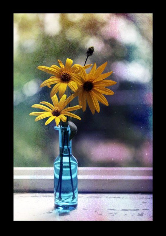 - фото превью