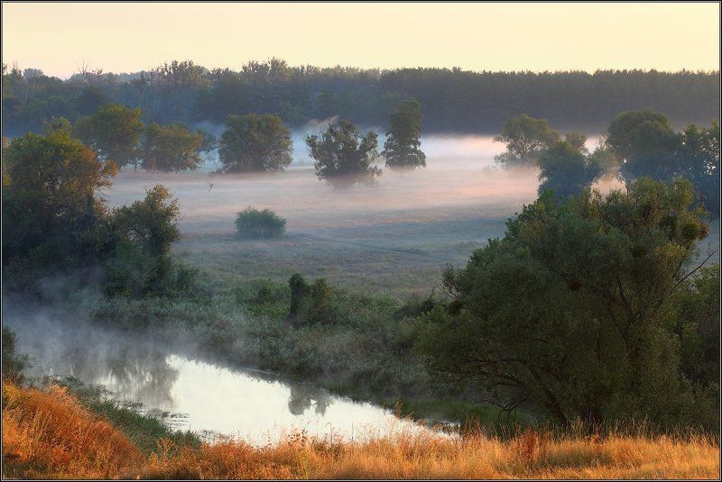 Крюковский заказник фото превью