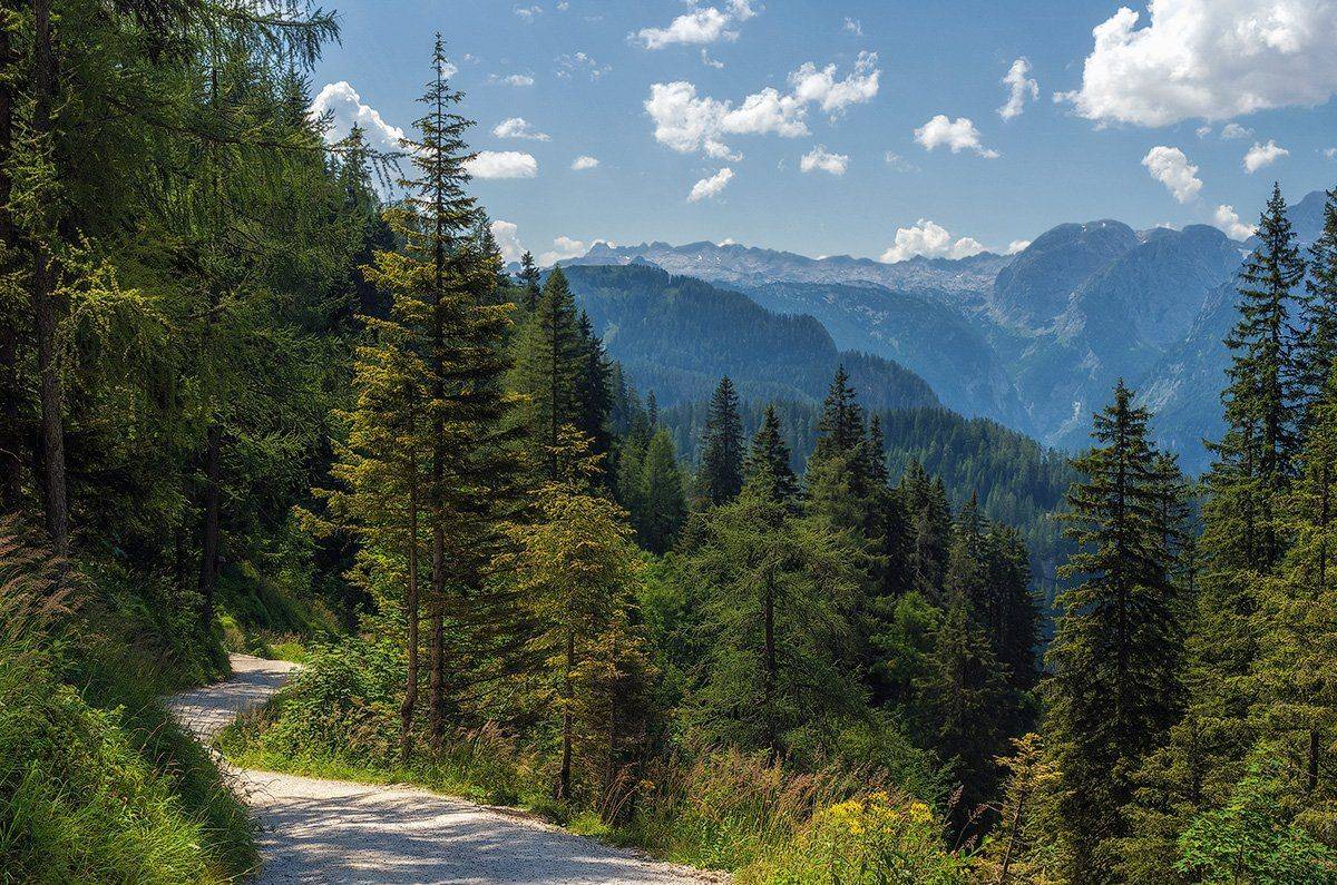 , Игорь Мелекесцев