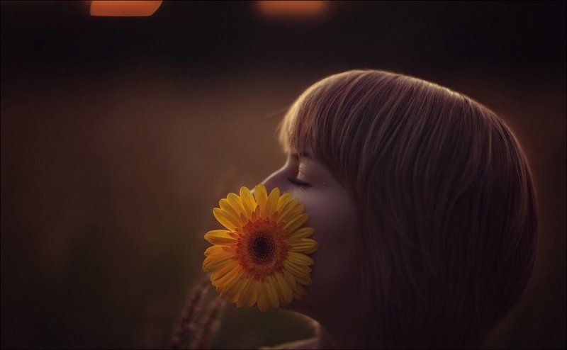 sun фото превью