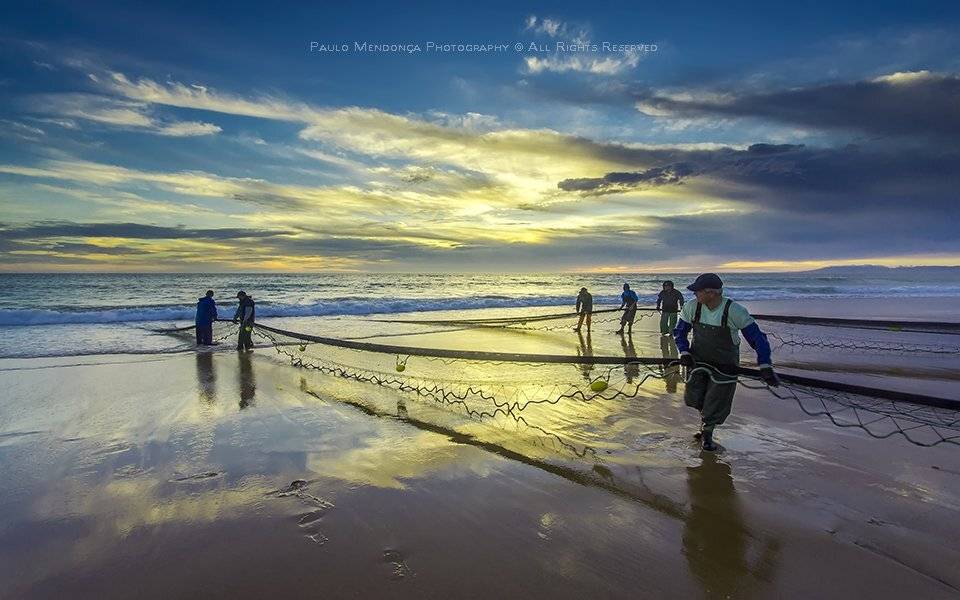 , Paulo Mendon&ccedil;a