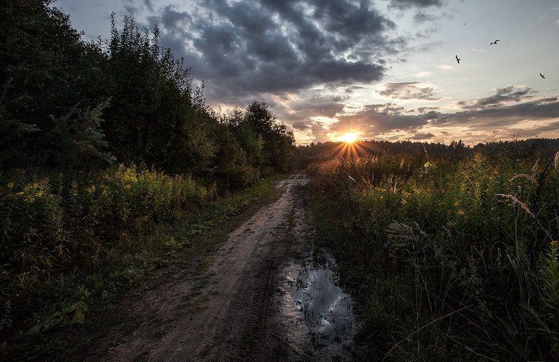 купавна, подмосковье Ещё одно лето... фото превью