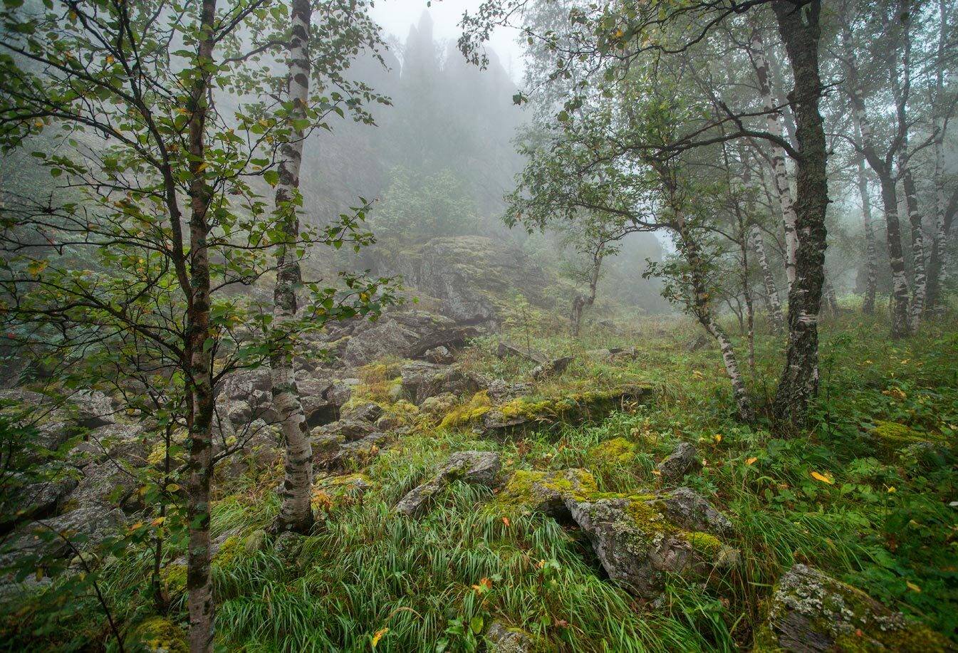 , Владимир Ляпин