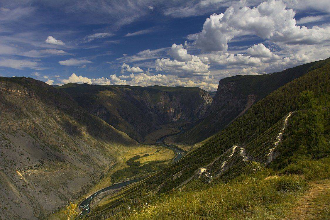 , Петрова Татьяна