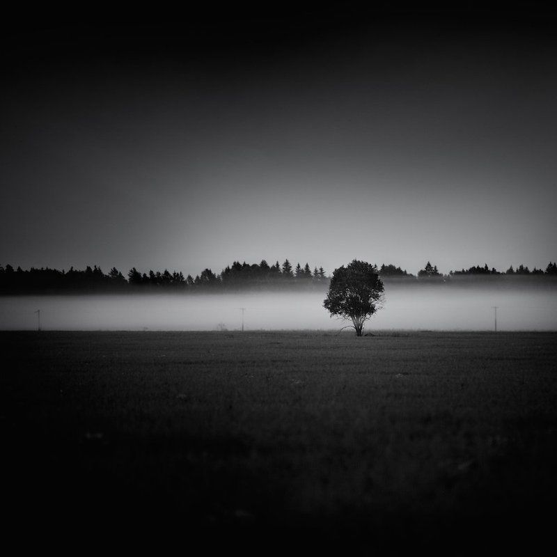 Revival.. фото превью