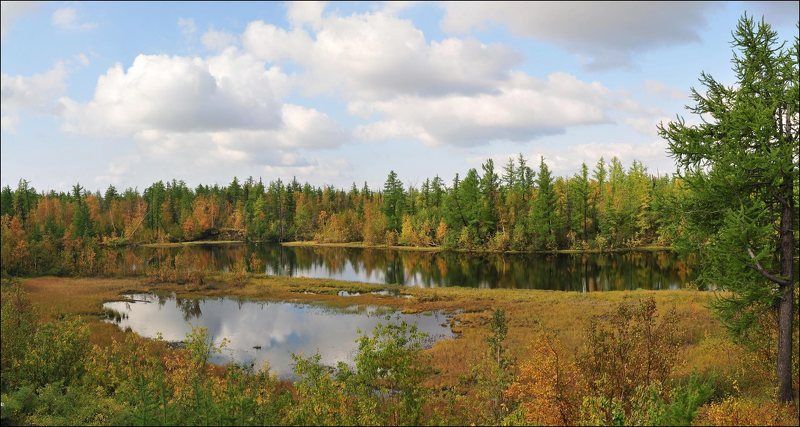 таймыр Вот и осень фото превью