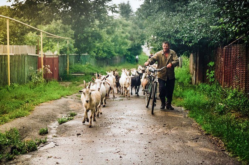 *** фото превью