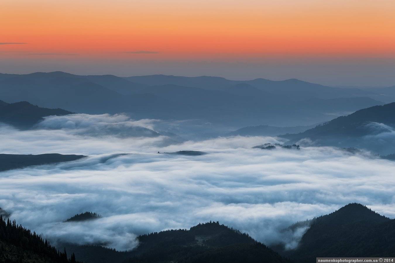 карпаты,	пейзаж,	рассвет, туман,	туманное утро, украина,	утро,	дземброня, Александр