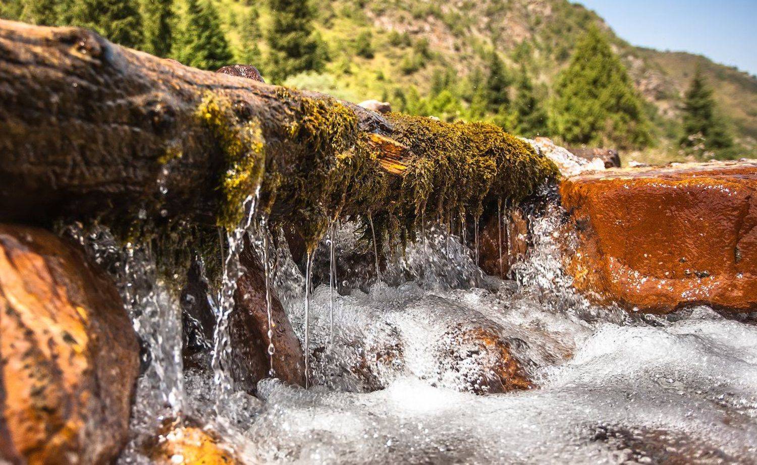 , Скатов Роман