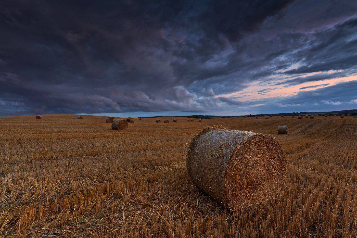 , Łukasz Sok&oacute;ł