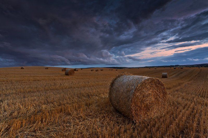 Polish landscape during the harvest фото превью