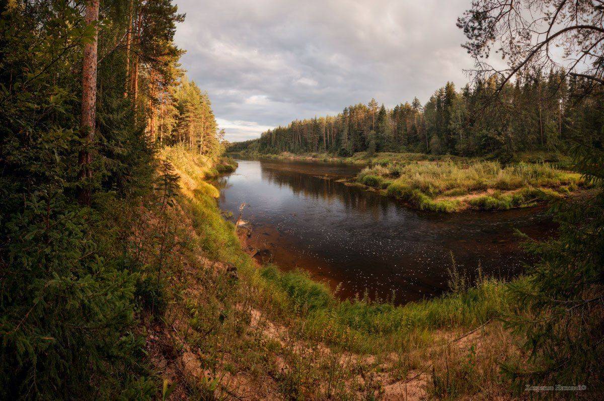 , Хохряков Николай