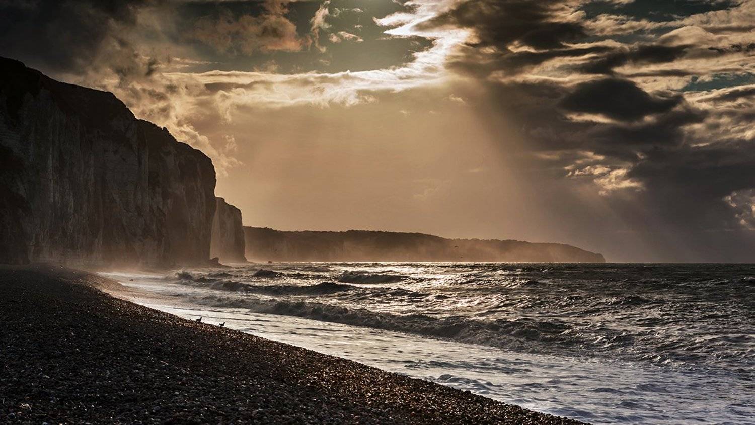 , Света  Черникова