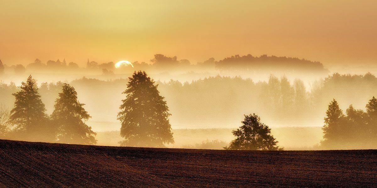 , Wojtek Kapuściński