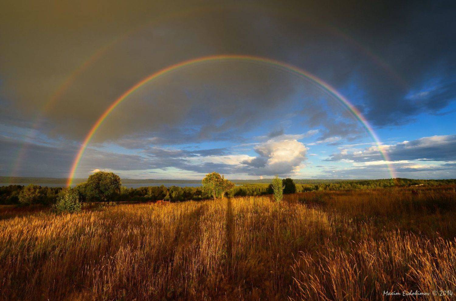 , Максим Евдокимов