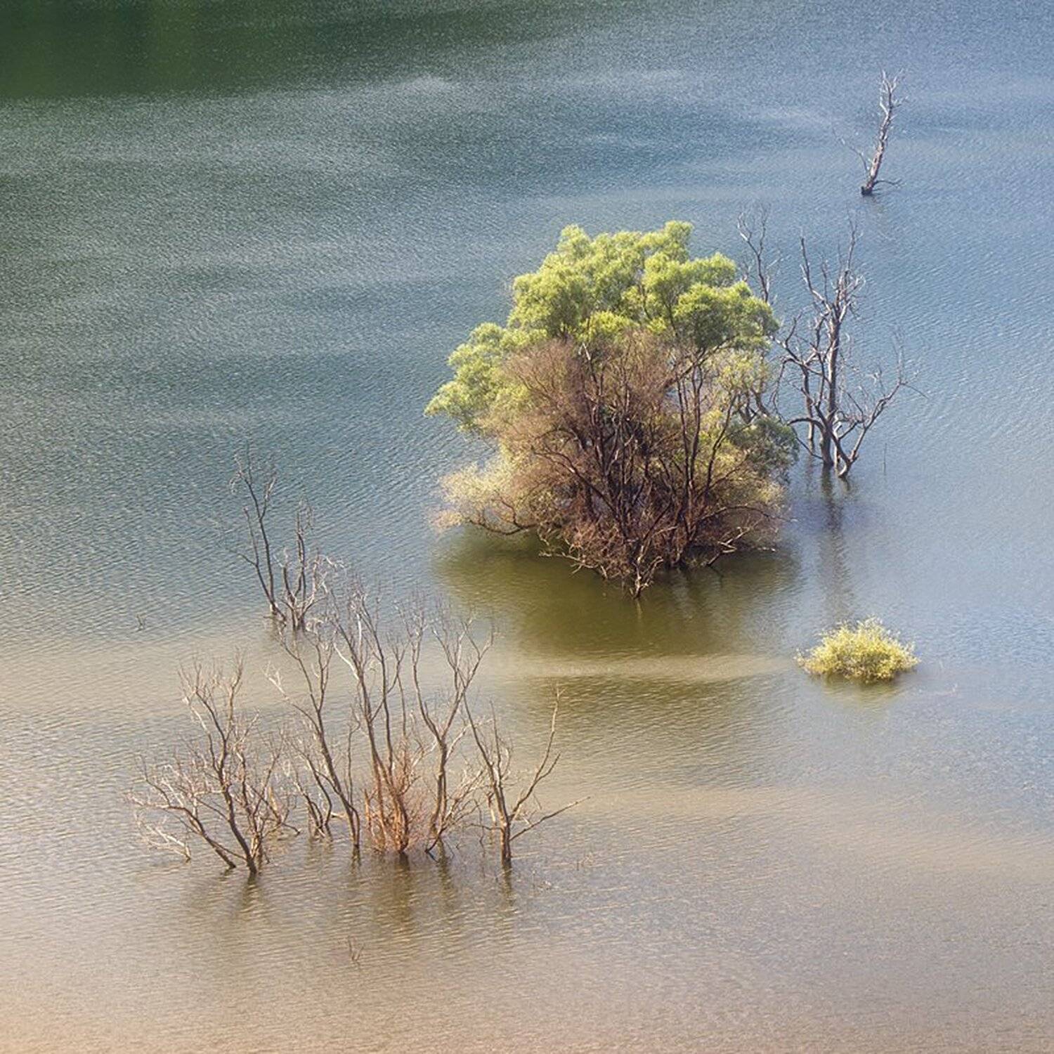 , Ирина Костова