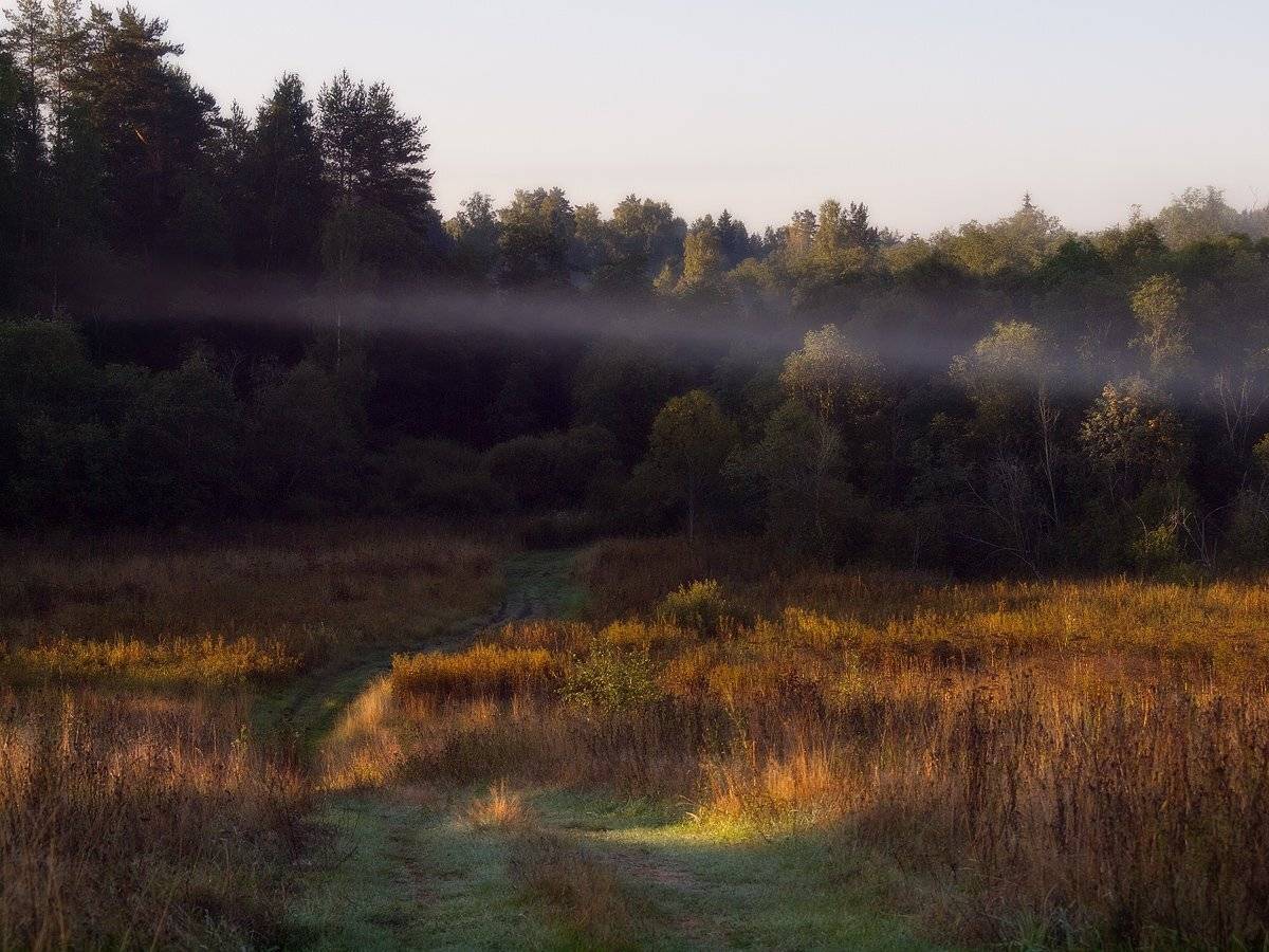 , Владимир Перепечаев