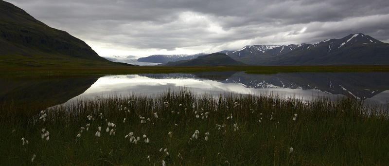 ... фото превью