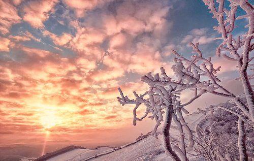 Frozen in spring