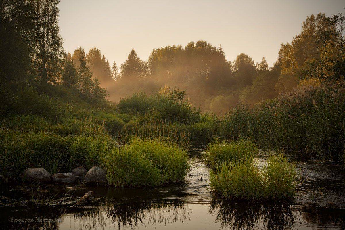 , Хохряков Николай