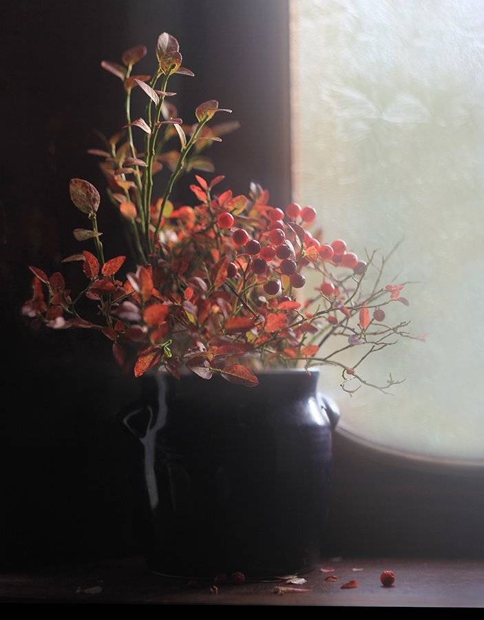 , Svoboda Andreeva