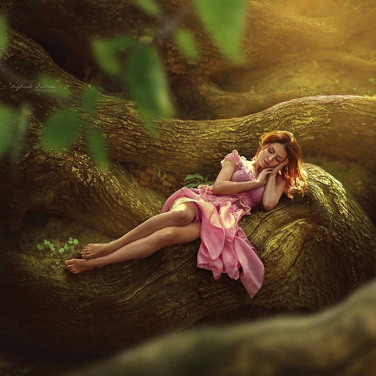 Canon, Canon 135mm, Canon eos 5d mark ii, Girl, People, Photo, Photography, Photoshop, Portrait, Tree, Ирина Джуль