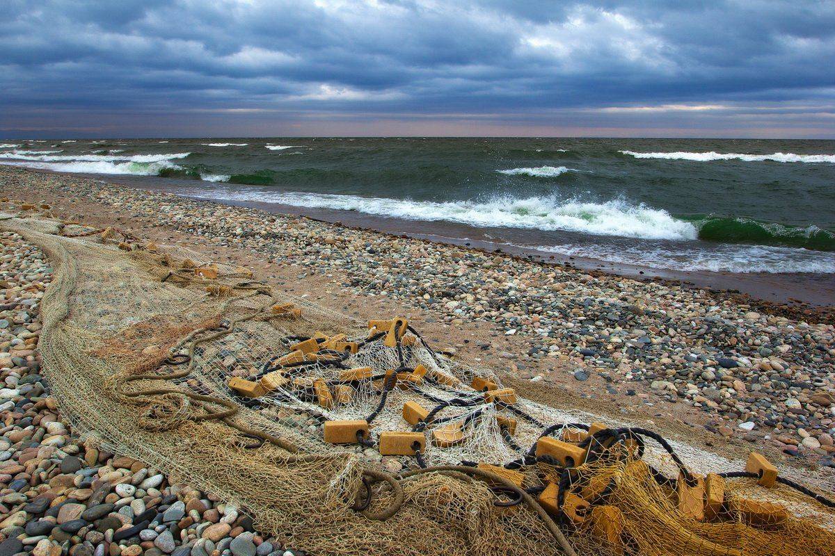 , Алексей Трофимов