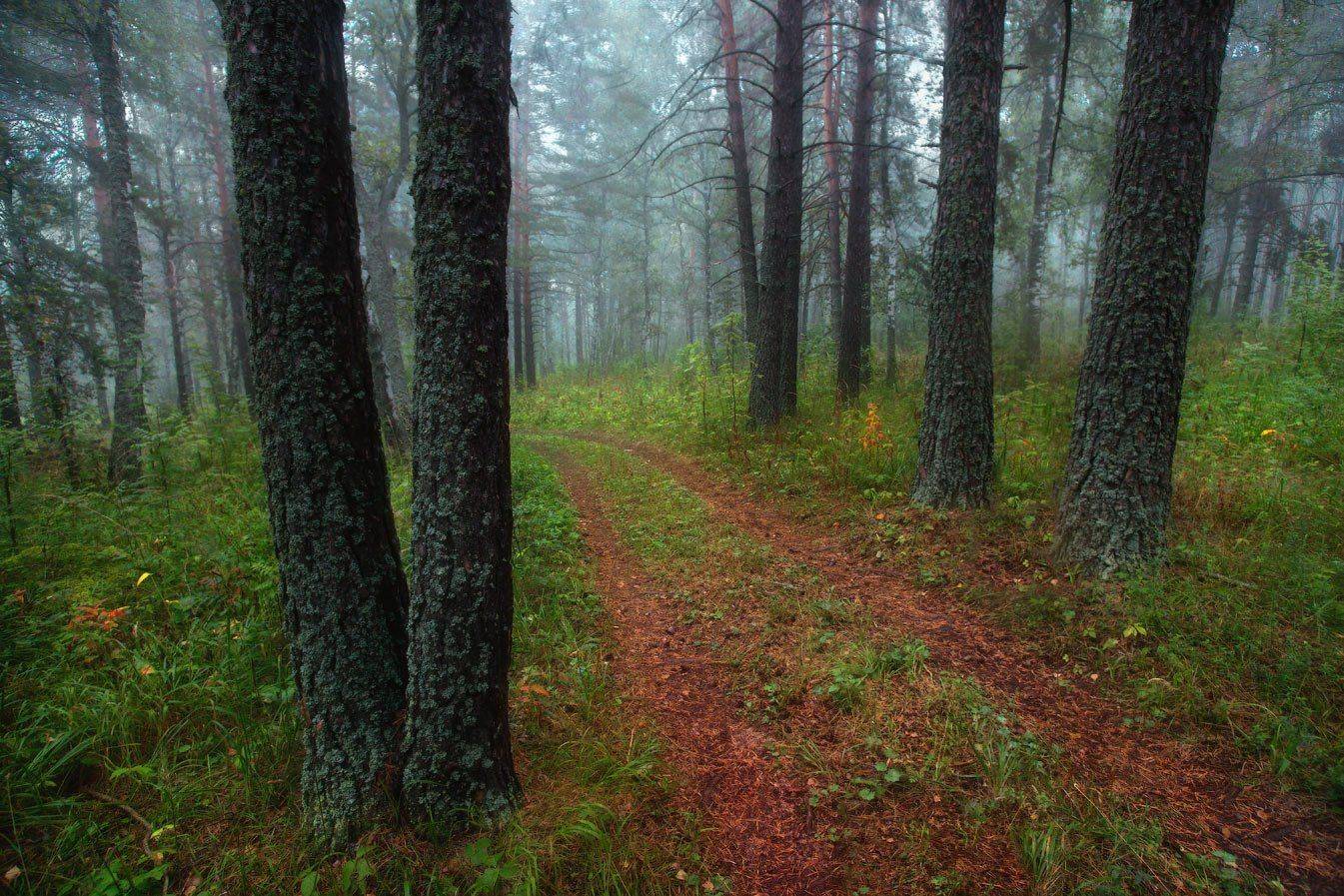 , Владимир Ляпин