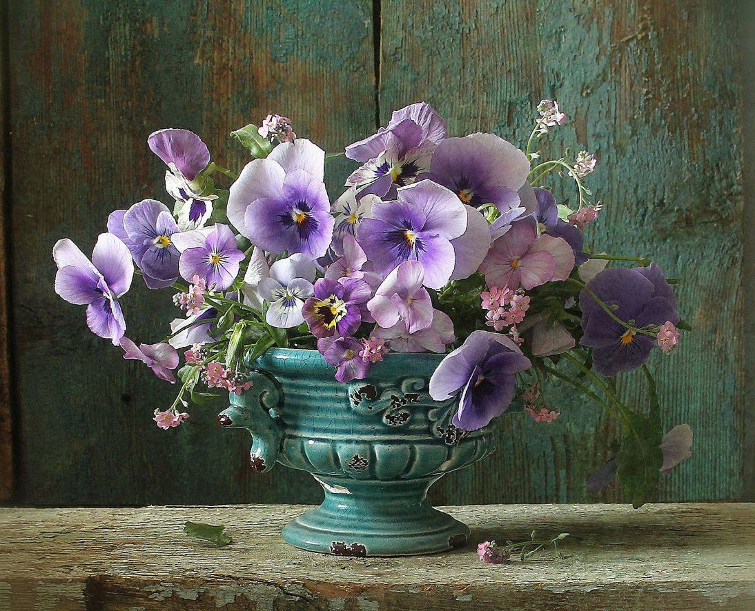 натюрморт, цветы, виолы, весна, марина филатова, Марина Филатова