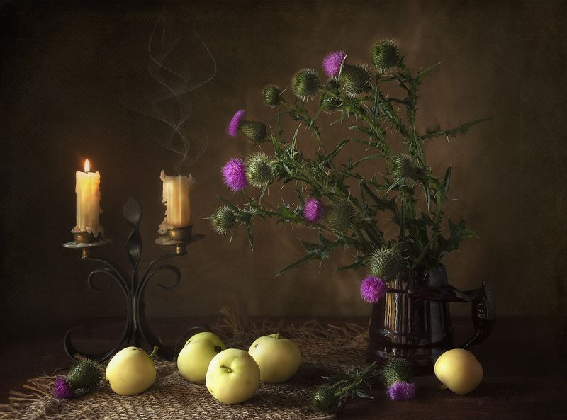 ***чертополох фото превью