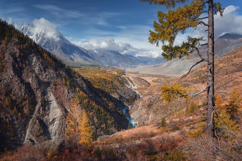 Алтай, осень *** фото превью
