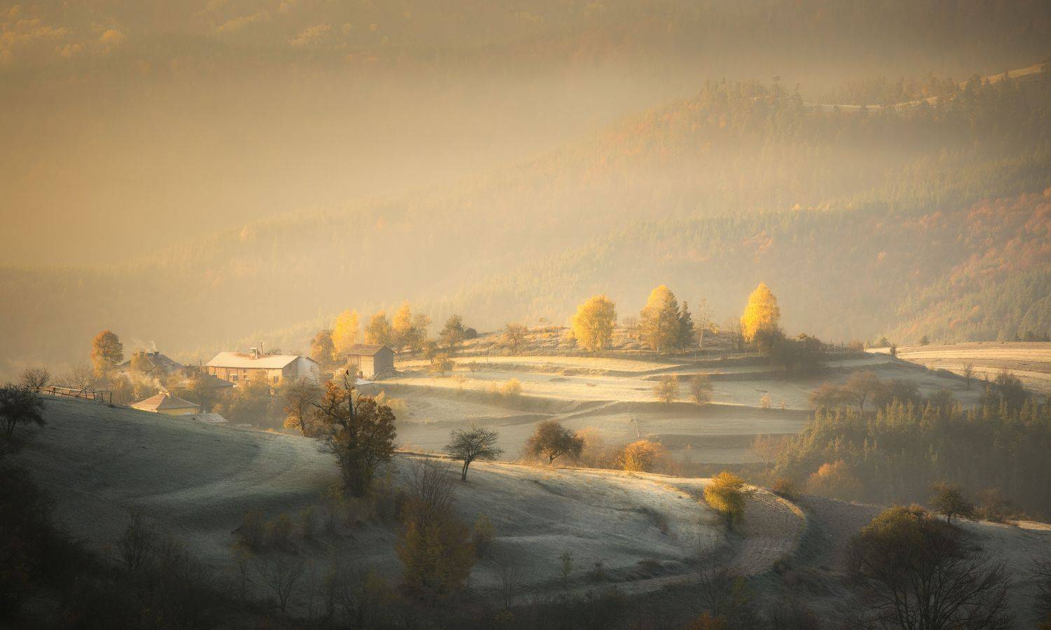 , Radoslav Sviretsov