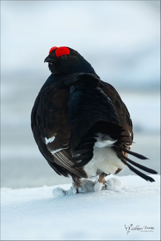 Парень в тапочках фото превью