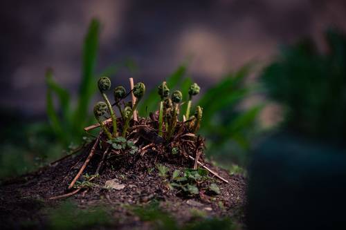 Пробуждение