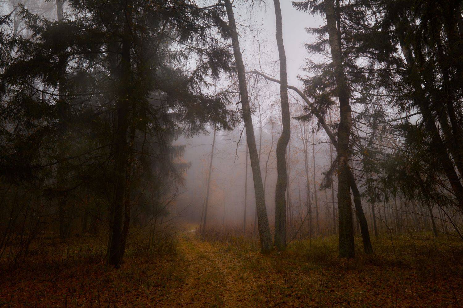 , Булатов Дмитрий