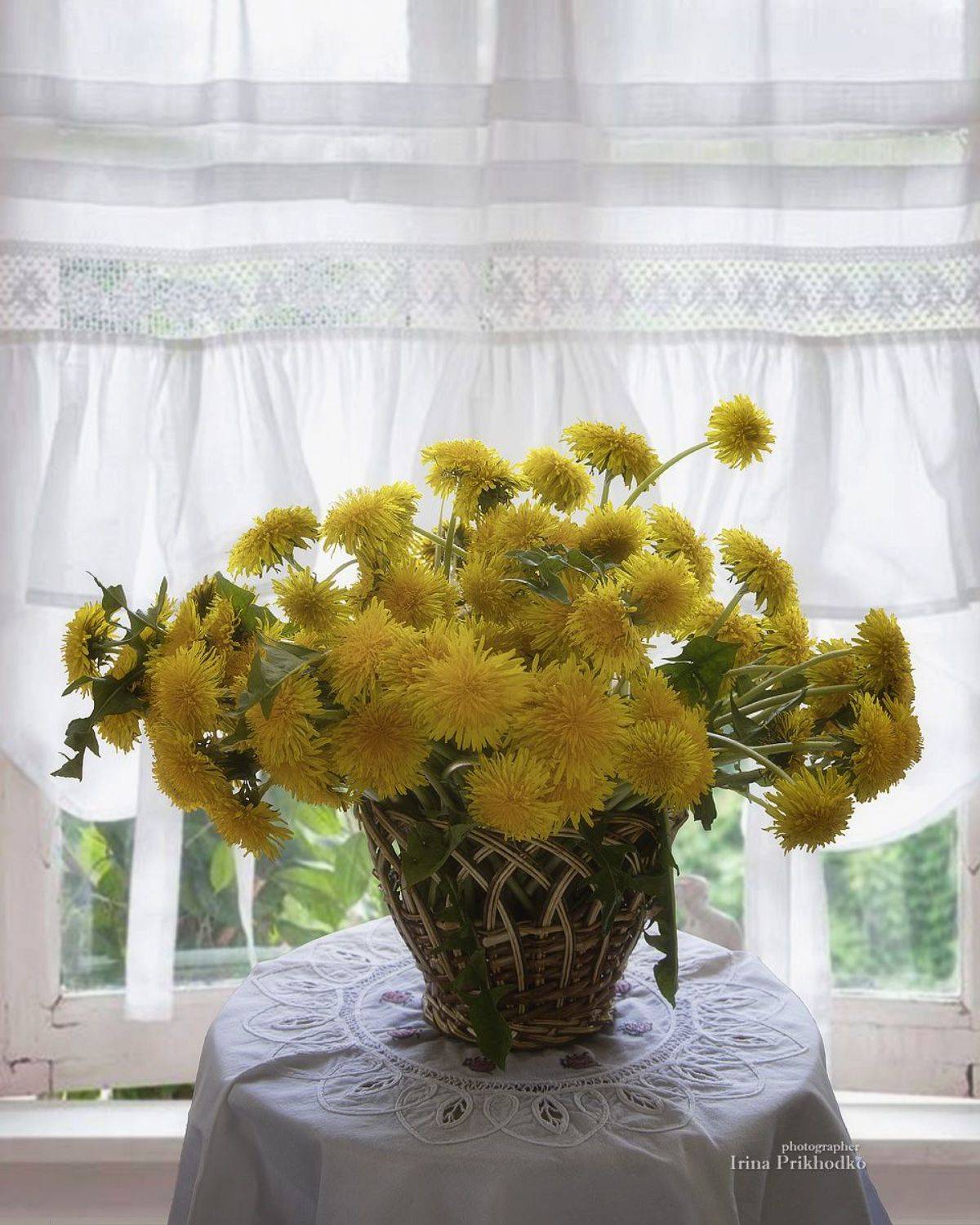 натюрморт, цветы, весна, сезон, одуванчики, букет, Приходько Ирина