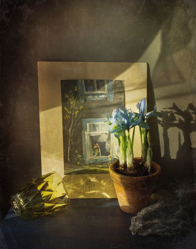 *** фото превью